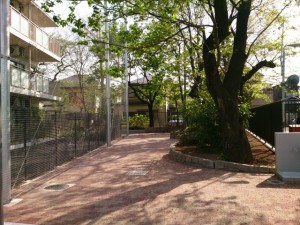 ふるさと千川ひろば_07