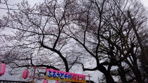 ふるさと千川（ひろば）入口付近